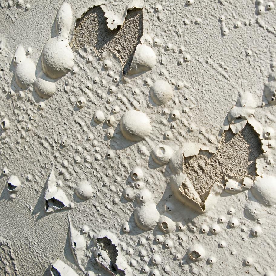 Blistering and bubbling exterior paint on a stucco wall