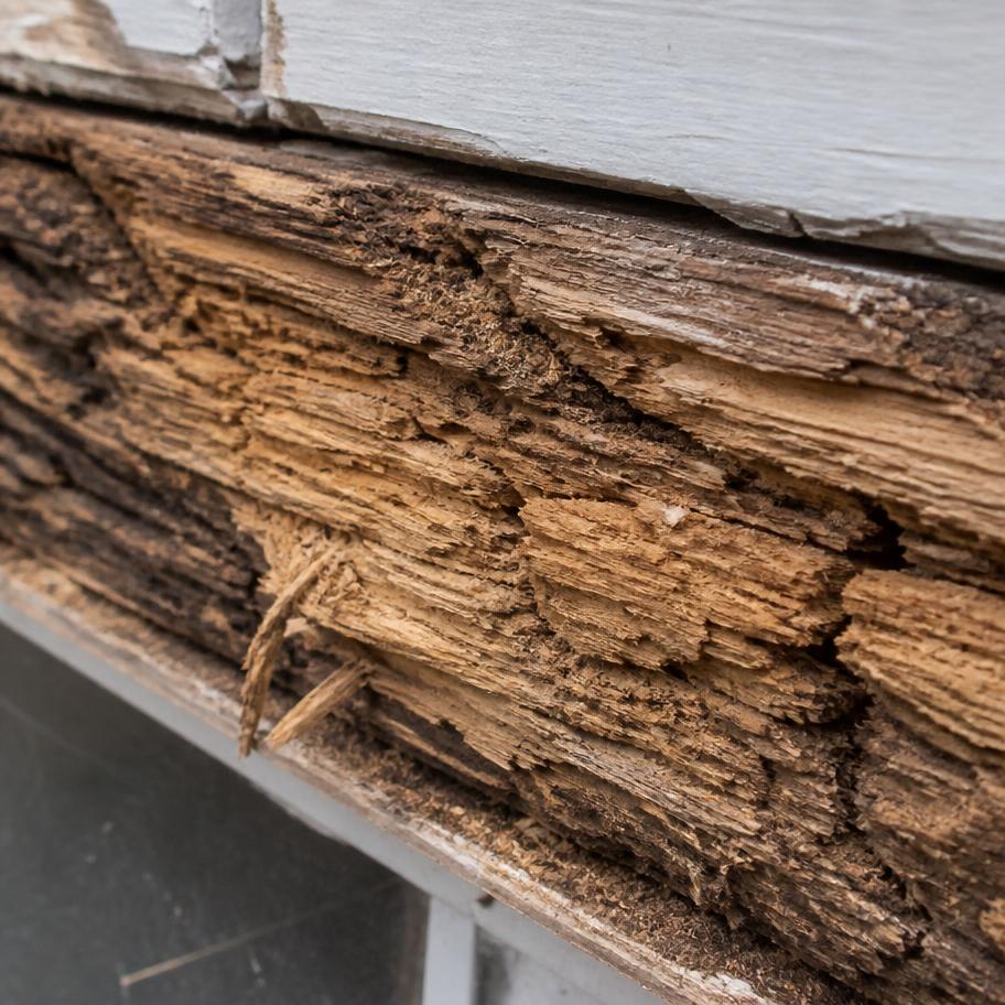 Exposed weathered soft wood on an exterior trim board